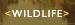 Wildlife Inventory