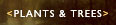 plants and trees inventory